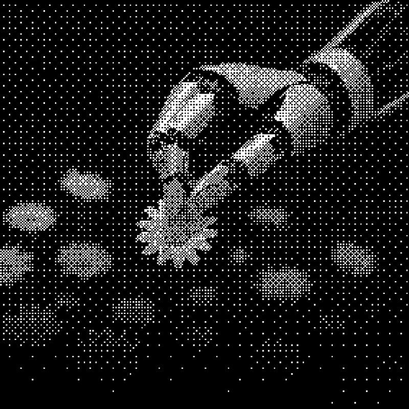 Crowdsourced Compute Pool